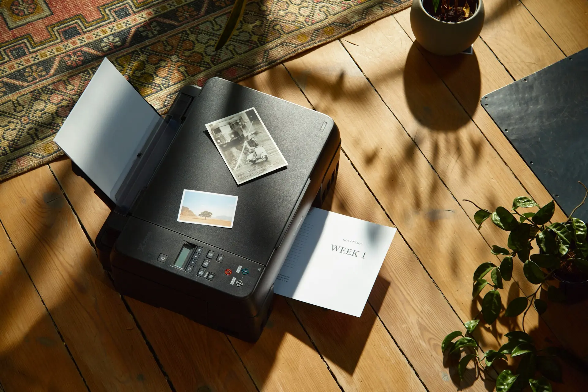 a printer sitting on top of a wooden floor next to a potted plant